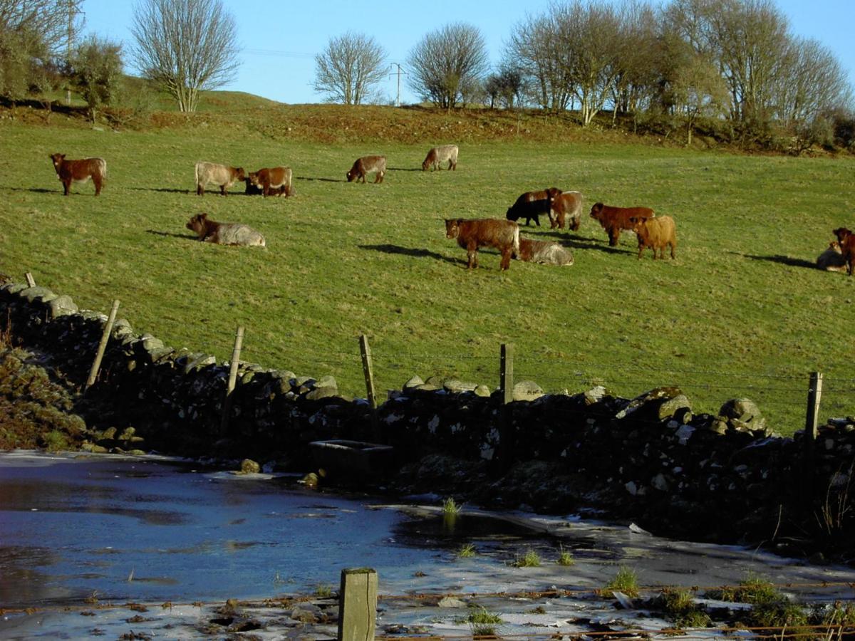 Nest Holiday Home Central Callander, Trossachs Self-Catering 외부 사진